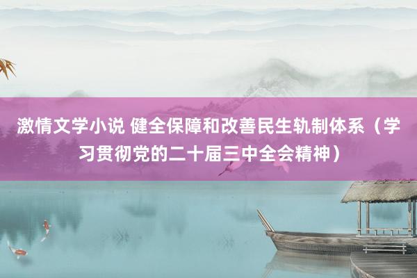 激情文学小说 健全保障和改善民生轨制体系（学习贯彻党的二十届三中全会精神）