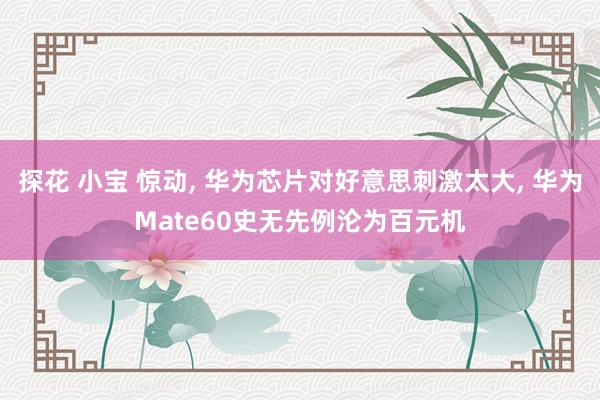 探花 小宝 惊动， 华为芯片对好意思刺激太大， 华为Mate60史无先例沦为百元机