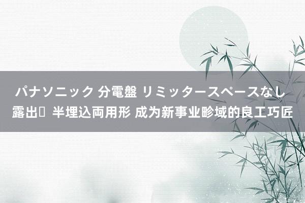 パナソニック 分電盤 リミッタースペースなし 露出・半埋込両用形 成为新事业畛域的良工巧匠