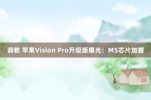 调教 苹果Vision Pro升级版曝光：M5芯片加握