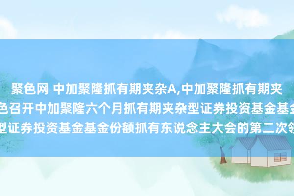 聚色网 中加聚隆抓有期夹杂A，中加聚隆抓有期夹杂C: 对于以通信开会神色召开中加聚隆六个月抓有期夹杂型证券投资基金基金份额抓有东说念主大会的第二次领导性公告