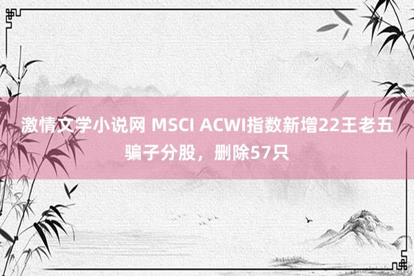 激情文学小说网 MSCI ACWI指数新增22王老五骗子分股，删除57只