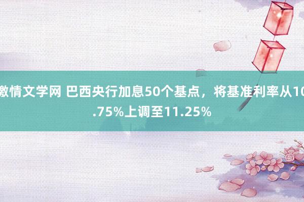 激情文学网 巴西央行加息50个基点，将基准利率从10.75%上调至11.25%