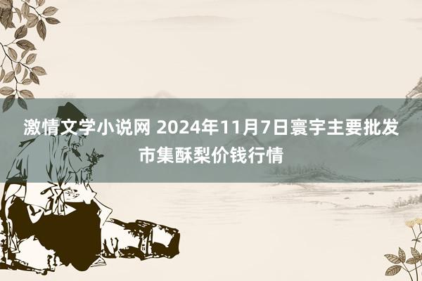 激情文学小说网 2024年11月7日寰宇主要批发市集酥梨价钱行情