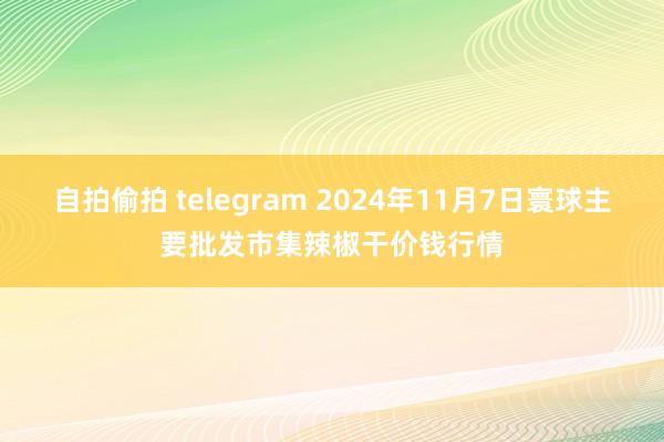 自拍偷拍 telegram 2024年11月7日寰球主要批发市集辣椒干价钱行情