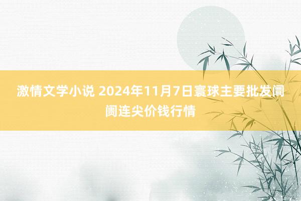 激情文学小说 2024年11月7日寰球主要批发阛阓连尖价钱行情