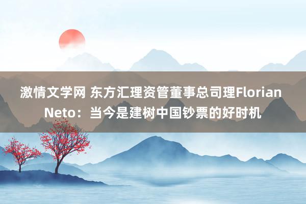 激情文学网 东方汇理资管董事总司理Florian Neto：当今是建树中国钞票的好时机