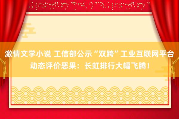 激情文学小说 工信部公示“双跨”工业互联网平台动态评价恶果：长虹排行大幅飞腾！