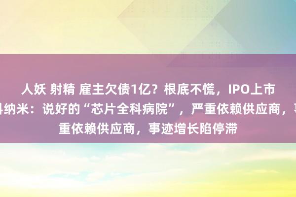 人妖 射精 雇主欠债1亿？根底不慌，IPO上市就能还上！胜科纳米：说好的“芯片全科病院”，严重依赖供应商，事迹增长陷停滞