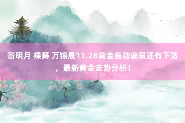 寄明月 裸舞 万锦晟11.28黄金轰动偏弱还有下落，最新黄金走势分析！