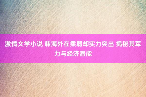 激情文学小说 韩海外在柔弱却实力突出 揭秘其军力与经济潜能