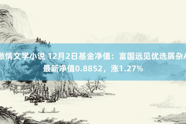 激情文学小说 12月2日基金净值：富国远见优选羼杂A最新净值0.8852，涨1.27%