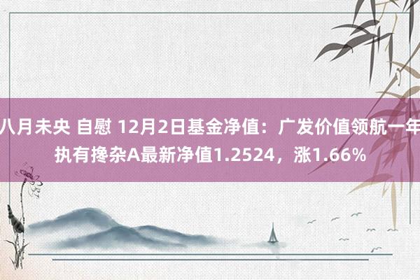 八月未央 自慰 12月2日基金净值：广发价值领航一年执有搀杂A最新净值1.2524，涨1.66%