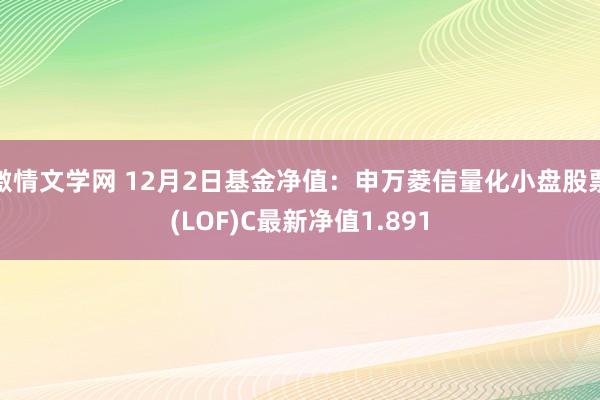 激情文学网 12月2日基金净值：申万菱信量化小盘股票(LOF)C最新净值1.891