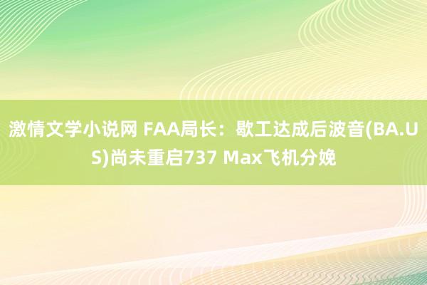 激情文学小说网 FAA局长：歇工达成后波音(BA.US)尚未重启737 Max飞机分娩