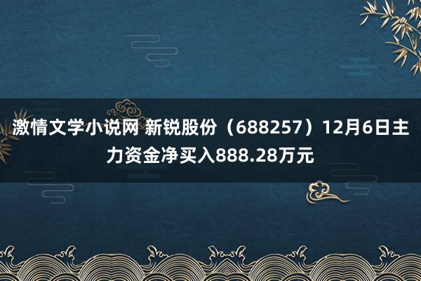 激情文学小说网 新锐股份（688257）12月6日主力资金净买入888.28万元