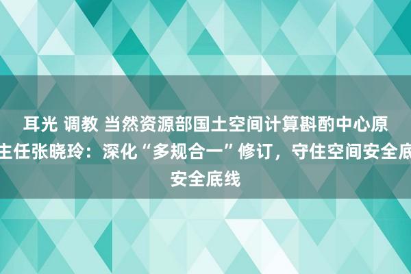 耳光 调教 当然资源部国土空间计算斟酌中心原副主任张晓玲：深化“多规合一”修订，守住空间安全底线