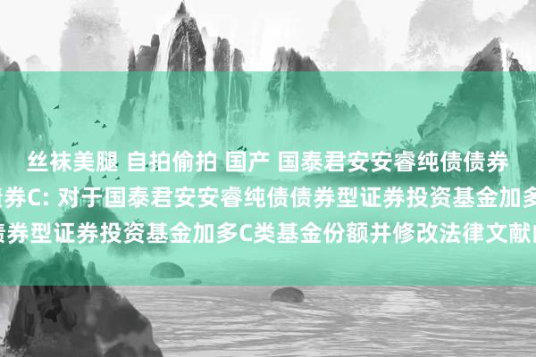 丝袜美腿 自拍偷拍 国产 国泰君安安睿纯债债券A，国泰君安安睿纯债债券C: 对于国泰君安安睿纯债债券型证券投资基金加多C类基金份额并修改法律文献的公告