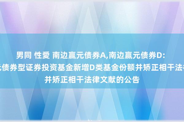 男同 性愛 南边赢元债券A，南边赢元债券D: 对于南边赢元债券型证券投资基金新增D类基金份额并矫正相干法律文献的公告