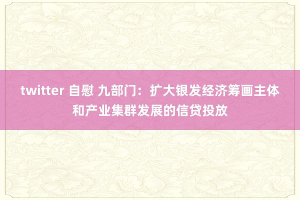 twitter 自慰 九部门：扩大银发经济筹画主体和产业集群发展的信贷投放