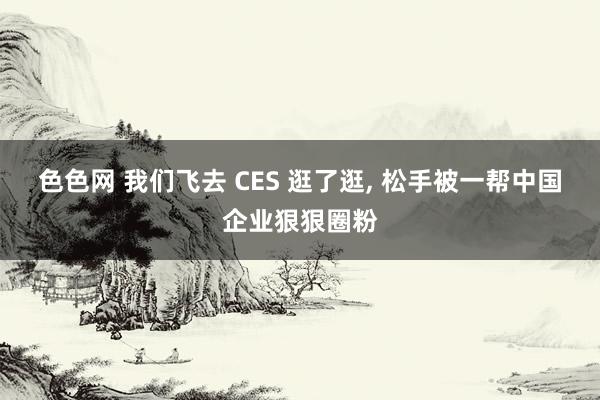 色色网 我们飞去 CES 逛了逛， 松手被一帮中国企业狠狠圈粉