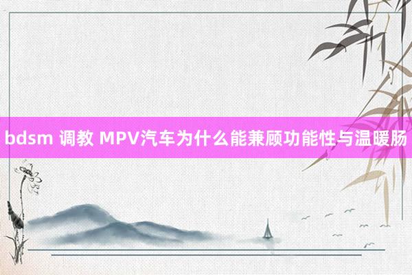 bdsm 调教 MPV汽车为什么能兼顾功能性与温暖肠