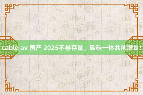 cable av 国产 2025不卷存量，碳硅一体共创增量!