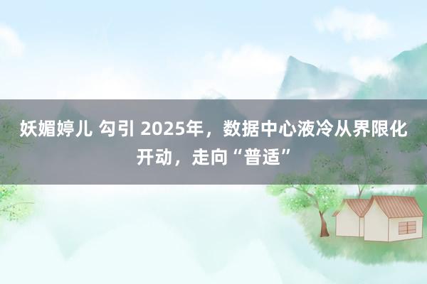 妖媚婷儿 勾引 2025年，数据中心液冷从界限化开动，走向“普适”