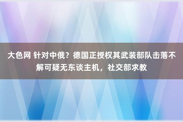 大色网 针对中俄？德国正授权其武装部队击落不解可疑无东谈主机，社交部求教